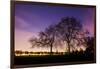 Nightime in Hyde Park, London-Alex Saberi-Framed Photographic Print