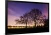 Nightime in Hyde Park, London-Alex Saberi-Framed Photographic Print