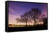 Nightime in Hyde Park, London-Alex Saberi-Framed Stretched Canvas