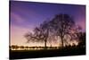 Nightime in Hyde Park, London-Alex Saberi-Stretched Canvas