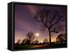 Nightime in Hyde Park, London-Alex Saberi-Framed Stretched Canvas