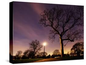 Nightime in Hyde Park, London-Alex Saberi-Stretched Canvas