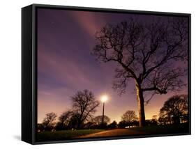 Nightime in Hyde Park, London-Alex Saberi-Framed Stretched Canvas