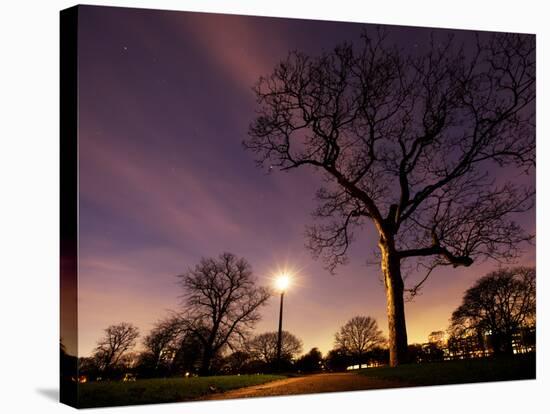 Nightime in Hyde Park, London-Alex Saberi-Stretched Canvas