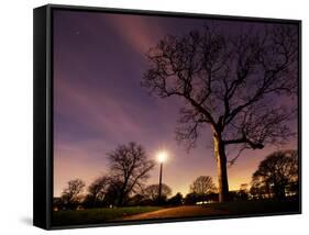 Nightime in Hyde Park, London-Alex Saberi-Framed Stretched Canvas