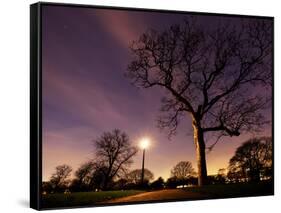 Nightime in Hyde Park, London-Alex Saberi-Framed Stretched Canvas