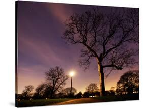 Nightime in Hyde Park, London-Alex Saberi-Stretched Canvas