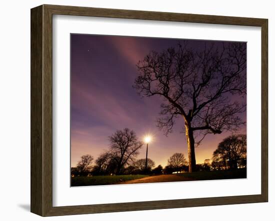 Nightime in Hyde Park, London-Alex Saberi-Framed Premium Photographic Print