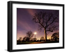 Nightime in Hyde Park, London-Alex Saberi-Framed Premium Photographic Print