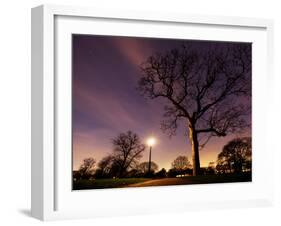 Nightime in Hyde Park, London-Alex Saberi-Framed Premium Photographic Print