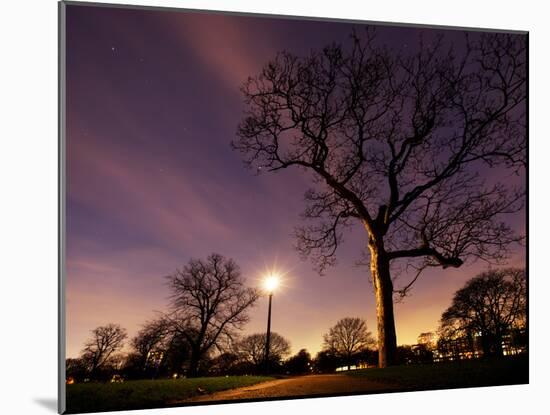 Nightime in Hyde Park, London-Alex Saberi-Mounted Premium Photographic Print