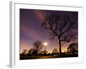 Nightime in Hyde Park, London-Alex Saberi-Framed Photographic Print