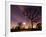 Nightime in Hyde Park, London-Alex Saberi-Framed Photographic Print