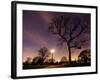 Nightime in Hyde Park, London-Alex Saberi-Framed Photographic Print