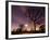 Nightime in Hyde Park, London-Alex Saberi-Framed Photographic Print