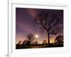 Nightime in Hyde Park, London-Alex Saberi-Framed Photographic Print