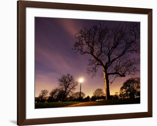 Nightime in Hyde Park, London-Alex Saberi-Framed Photographic Print