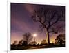 Nightime in Hyde Park, London-Alex Saberi-Framed Photographic Print