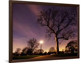 Nightime in Hyde Park, London-Alex Saberi-Framed Photographic Print