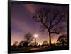 Nightime in Hyde Park, London-Alex Saberi-Framed Photographic Print