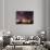 Nightime in Hyde Park, London-Alex Saberi-Photographic Print displayed on a wall