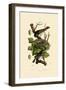 Nightingale, 1833-39-null-Framed Giclee Print