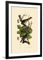 Nightingale, 1833-39-null-Framed Giclee Print