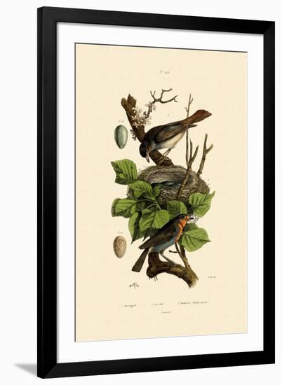 Nightingale, 1833-39-null-Framed Giclee Print