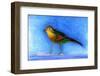 Nightingale Light, 2012-Nancy Moniz-Framed Photographic Print