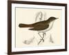 Nightingale, Morris-null-Framed Art Print