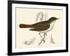 Nightingale, Morris-null-Framed Art Print