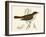 Nightingale, Morris-null-Framed Art Print