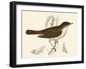 Nightingale, Morris-null-Framed Art Print