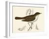 Nightingale, Morris-null-Framed Art Print