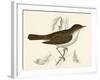 Nightingale, Morris-null-Framed Art Print