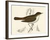 Nightingale, Morris-null-Framed Art Print