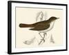 Nightingale, Morris-null-Framed Art Print