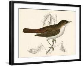 Nightingale, Morris-null-Framed Art Print