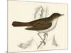 Nightingale, Morris-null-Mounted Art Print