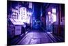 NightLife Japan Collection - Night Atmosphere-Philippe Hugonnard-Mounted Photographic Print