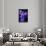 NightLife Japan Collection - Royal Blue-Philippe Hugonnard-Photographic Print displayed on a wall