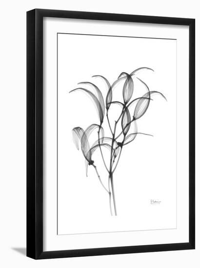 Nightly Oleander Bush-Albert Koetsier-Framed Art Print