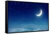 Nightly Sky with Moon and Stars-egal-Framed Stretched Canvas