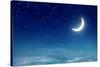Nightly Sky with Moon and Stars-egal-Stretched Canvas