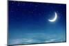 Nightly Sky with Moon and Stars-egal-Mounted Photographic Print