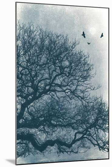 Nights Roost-David Baker-Mounted Photographic Print