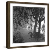 Nightshoot of Park with Trees, London, c.1940-John Gay-Framed Giclee Print