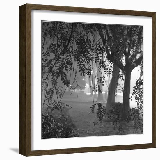 Nightshoot of Park with Trees, London, c.1940-John Gay-Framed Giclee Print