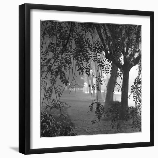 Nightshoot of Park with Trees, London, c.1940-John Gay-Framed Giclee Print