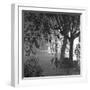 Nightshoot of Park with Trees, London, c.1940-John Gay-Framed Giclee Print